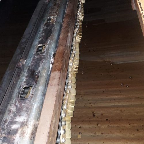 WhatsApp Image 2025-09-18 at 15.01.00