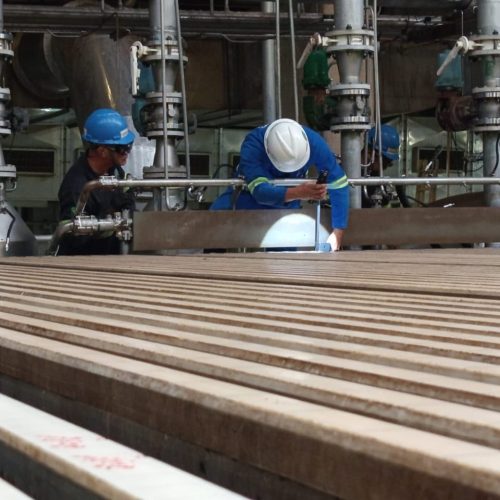 WhatsApp Image 2025-09-18 at 15.40.36 (1)