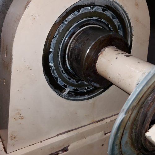 WhatsApp Image 2025-10-02 at 16.49.12 (1)