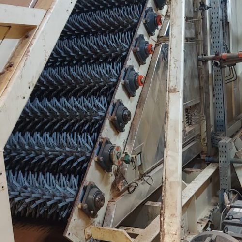 WhatsApp Image 2025-10-02 at 16.49.19 (1)