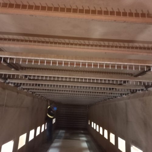 WhatsApp Image 2025-10-02 at 16.49.19 (3)