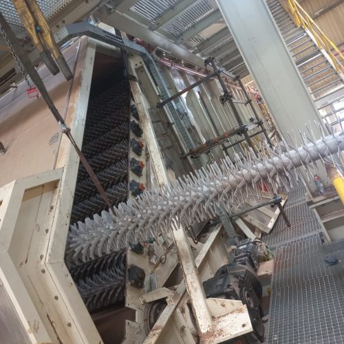 WhatsApp Image 2025-10-02 at 16.49.21 (1)