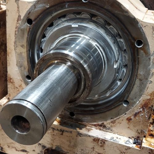 WhatsApp Image 2025-10-02 at 16.49.22