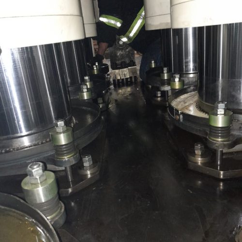 WhatsApp Image 2025-10-02 at 16.53.52