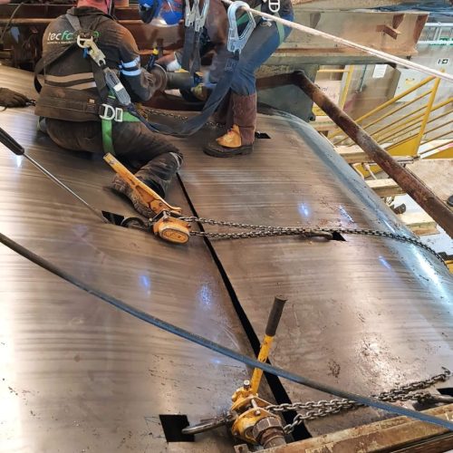 WhatsApp Image 2025-10-02 at 16.54.04